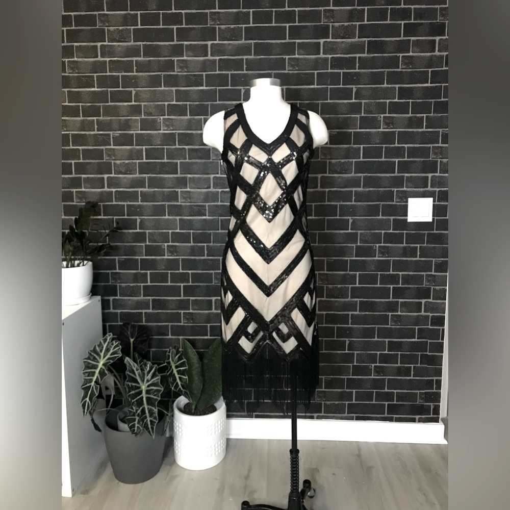 Black & Nude Sequin Fringe Dress